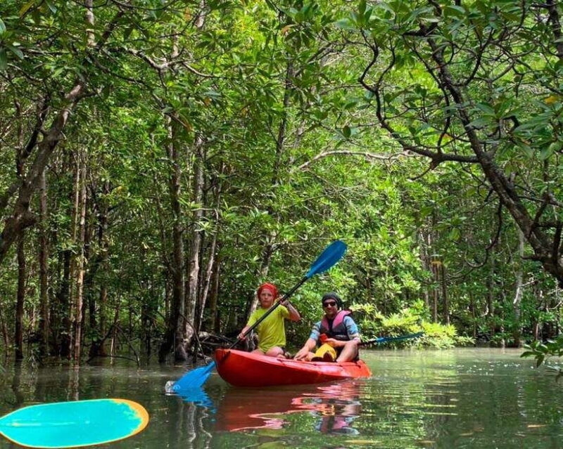 ko-lanta-mangrove-forest-kayak-wildlife-adventure