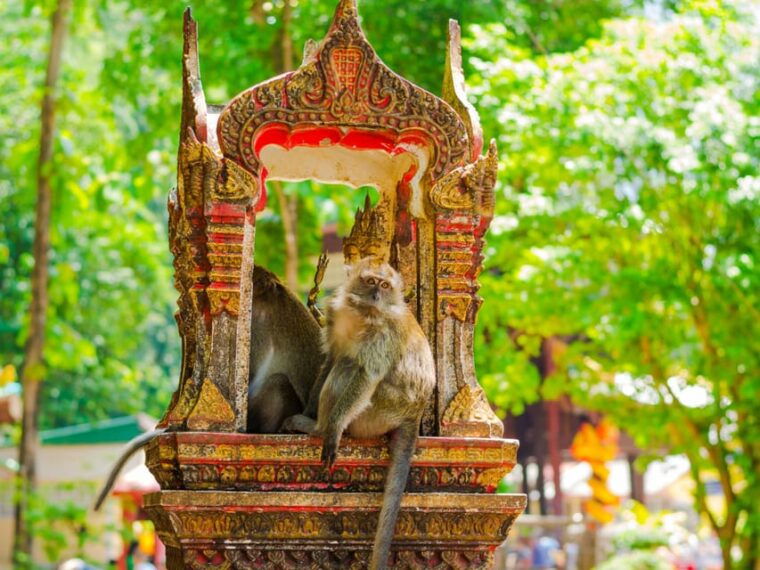 ko-lanta-private-tiger-cave-hot-spring-emerald-pool-tour