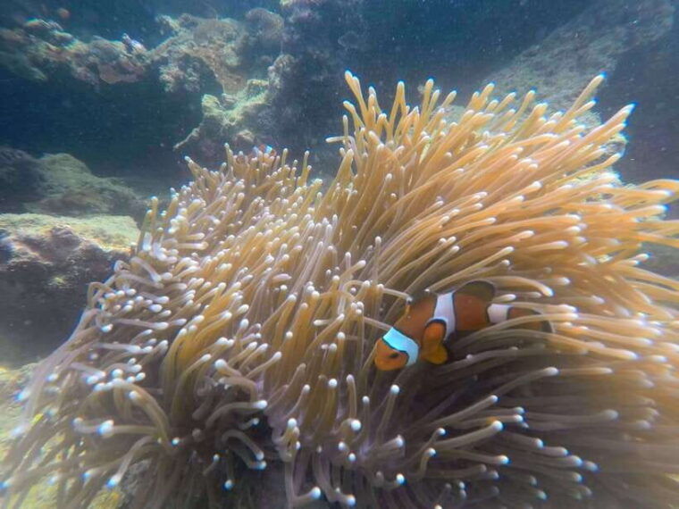 koh-lanta-4-island-adventure-tour-to-emerald-cave