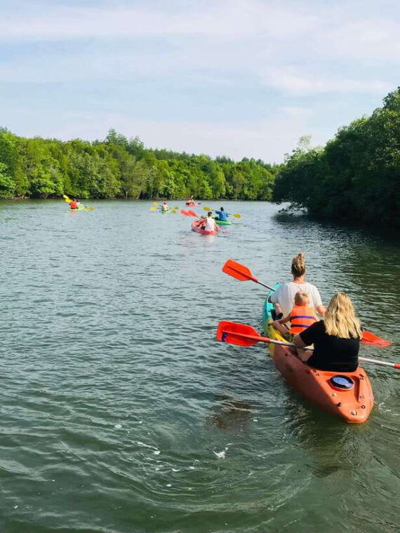 koh-lanta-amazon-mangrove-kayaking-tour-with-lunch
