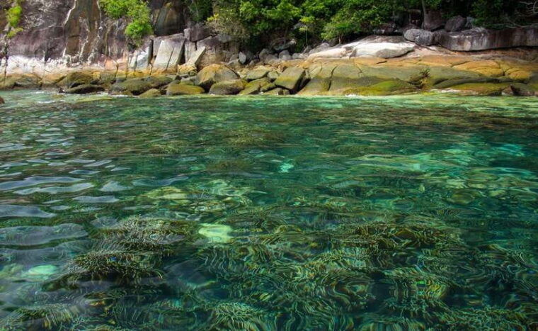 koh-lipe-5-island-snorkeling-trip-by-longtail-boat-w-lunch