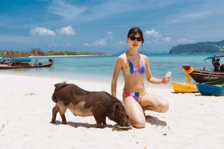 koh-samui-pig-island-private-longtail-boat-tour