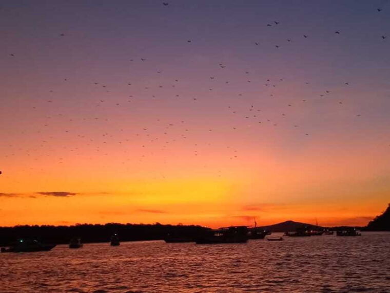 komodo-one-day-tour-with-speed-boat