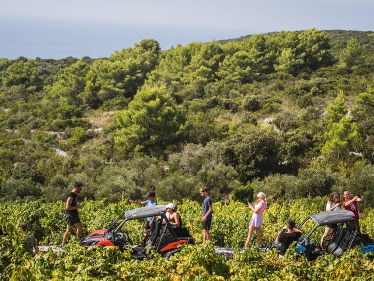 korcula-buggy-safari-with-wine-tasting