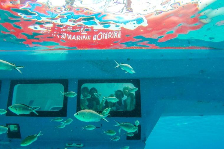korcula-semi-submarine-tour