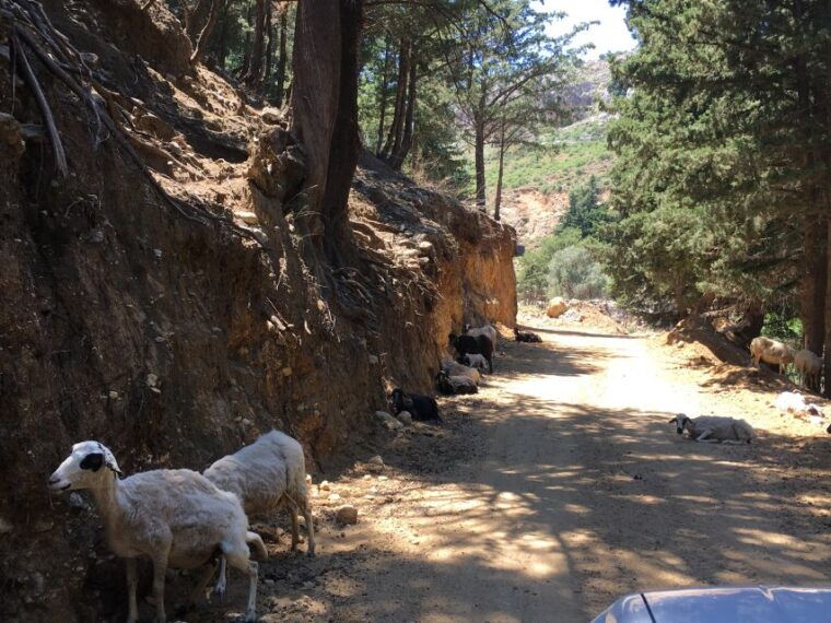 kos-4x4-exploration-panoramic-views-villages-flavors