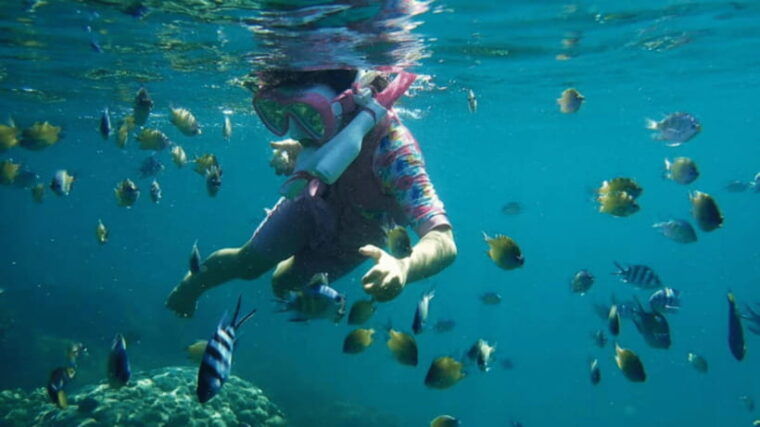 kota-kinabalu-snorkeling-at-ara-dinawan-private-island