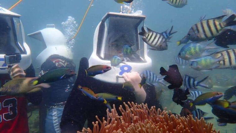 kota-kinabalu-snorkeling-island-hopping-sapi-manukan