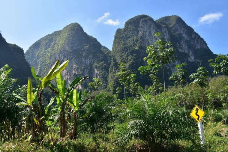 krabi-a-kayaking-odyssey-through-din-daeng-mangrove-maze