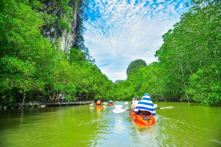 krabi-hidden-mangrove-kayaking-tour-with-optional-extras