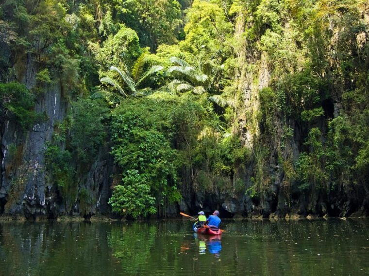 krabi-kayak-adventure-through-ao-thalane-mangrove-forest