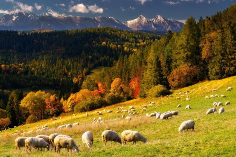 krakow-thermal-baths-zakopane-attractions-and-trips