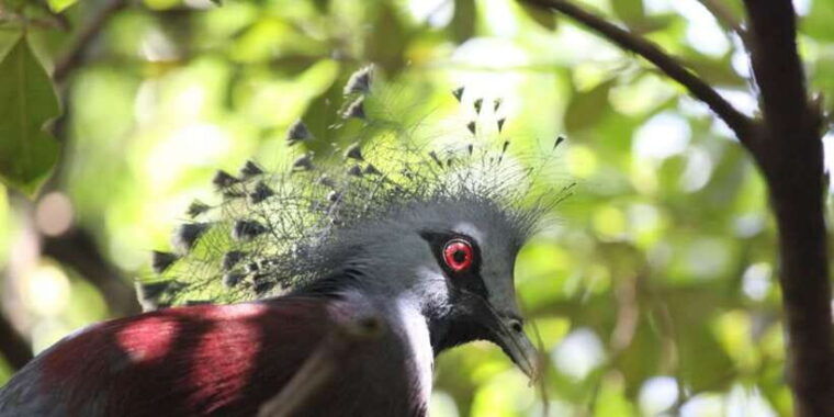 kuala-lumpur-bird-park-butterfly-garden-private-tour