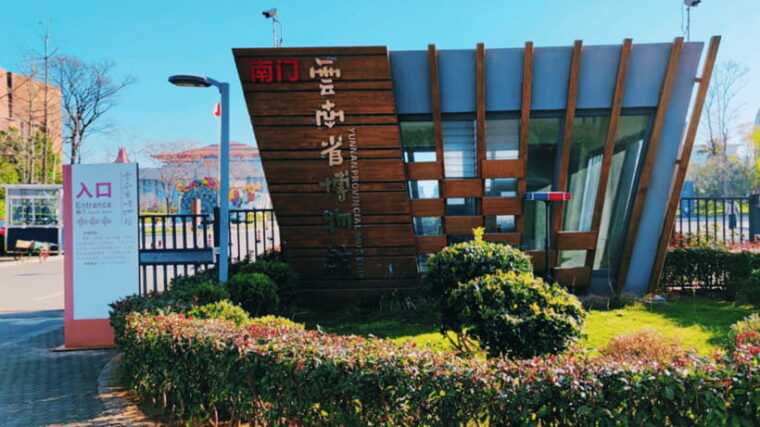 kunming-yunnan-provincial-museum-entry-reservation