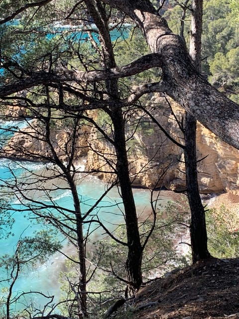 la-ciotat-boat-tour-to-the-coves-of-var-and-embiez-island