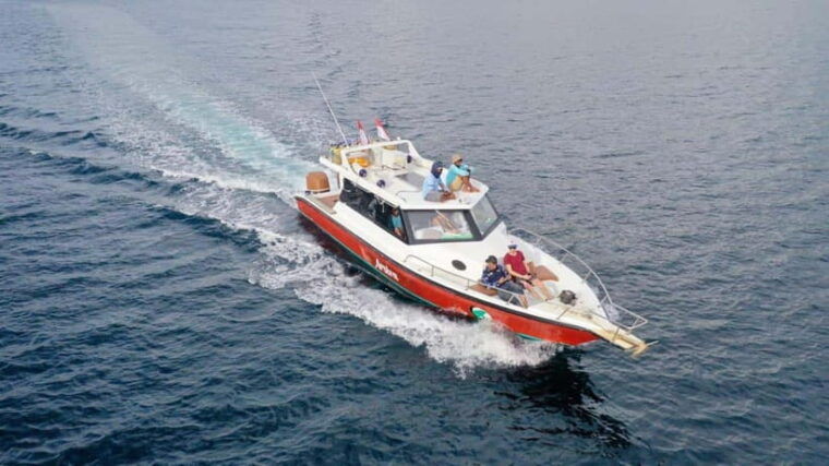 labuan-bajo-one-day-komodo-tour-snorkeling