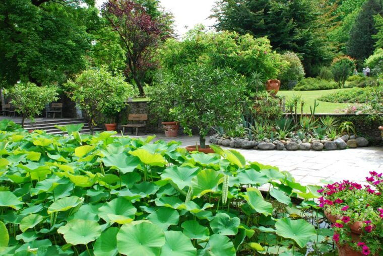 lake-maggiore-gardens-botanical-gardens-gourmet-food-cruise