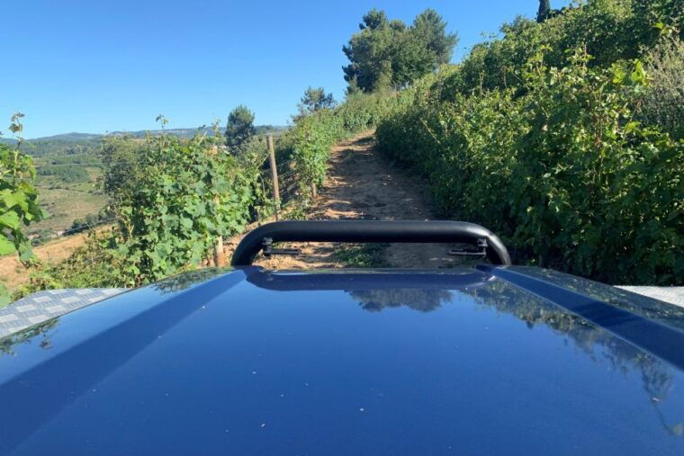 lamego-quinta-da-portela-de-baixo-winery-tour-and-tasting