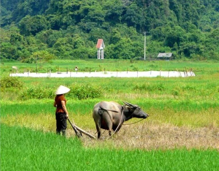 lan-ha-boutique-cruise-2d1n-at-the-pristine-place-from-hanoi
