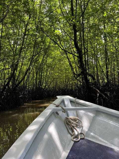 langkawi-unesco-global-geopark-mangrove-cruise