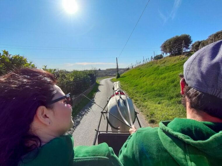 lazise-horse-carriage-tour-with-tasting-of-local-products