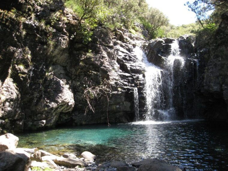 levada-do-alecrim-madeira-lakes-full-day-walk