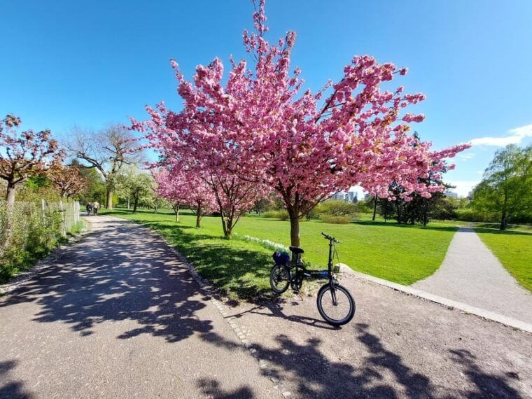 ljubljana-sightseeing-tour-by-e-bikes