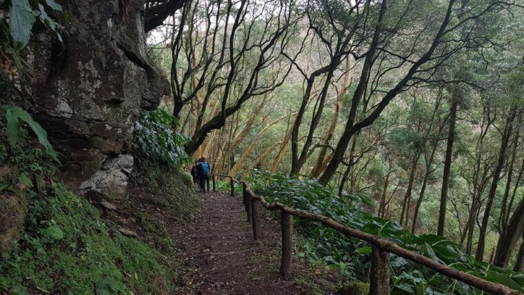 lomba-de-sao-pedro-waterfall-hiking-tour-with-tea-tasting
