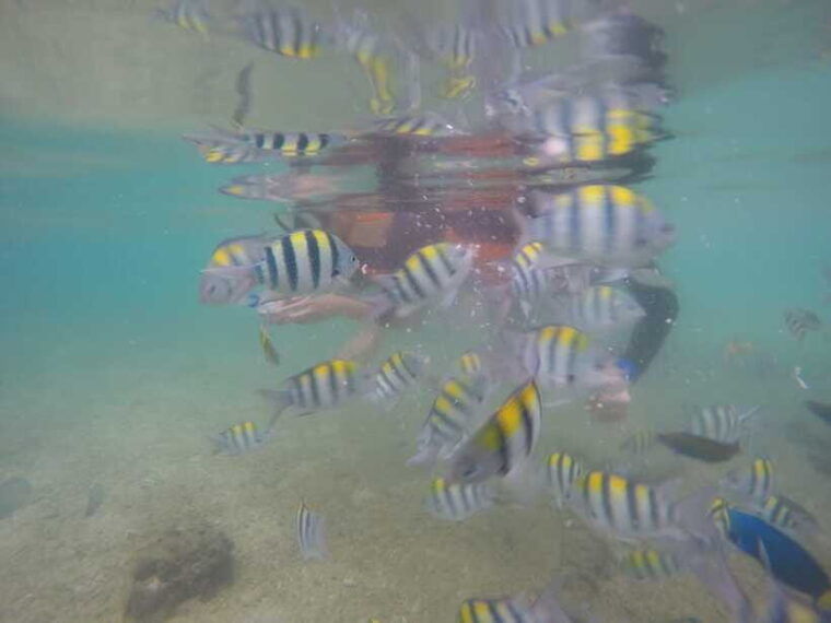 lombok-gili-islands-boat-trip-with-snorkeling