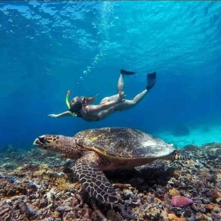 lombok-gili-islands-private-snorkeling-tour