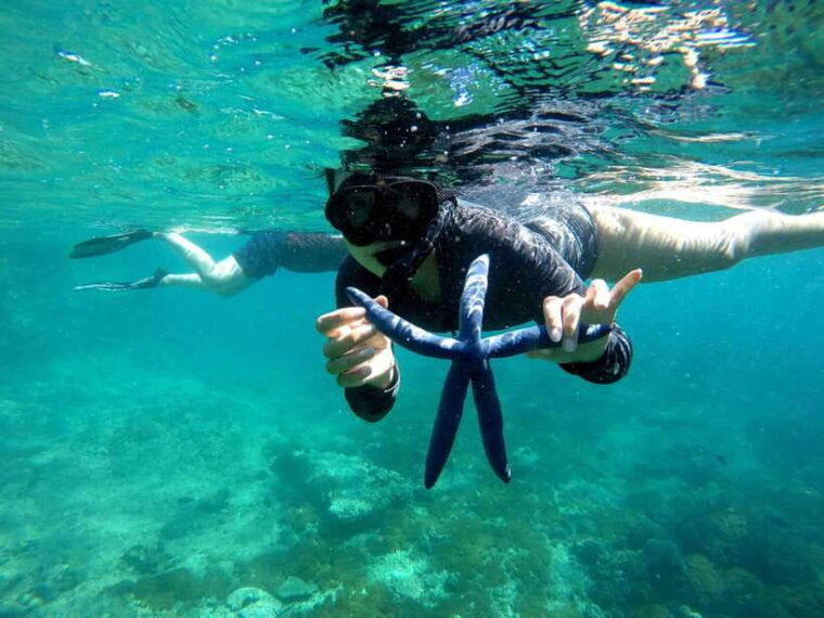 lombok-gili-nanggu-sudak-and-kedis-private-snorkeling-tour