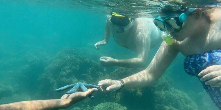 lombok-private-day-trip-snorkeling-in-secret-island