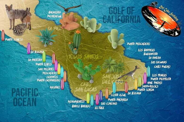 los-cabos-mexico-surfboard-rentals
