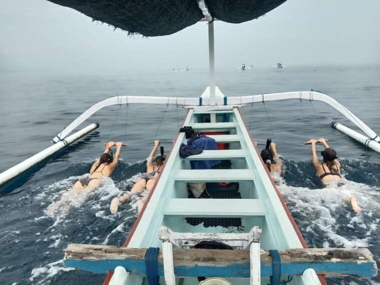 lovina-dolphin-watching-swimming-with-dolphin-private-tour