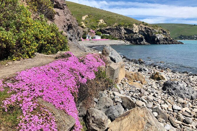 Luxury Private Guided Crater Rim Walk on Banks Peninsula - FAQ