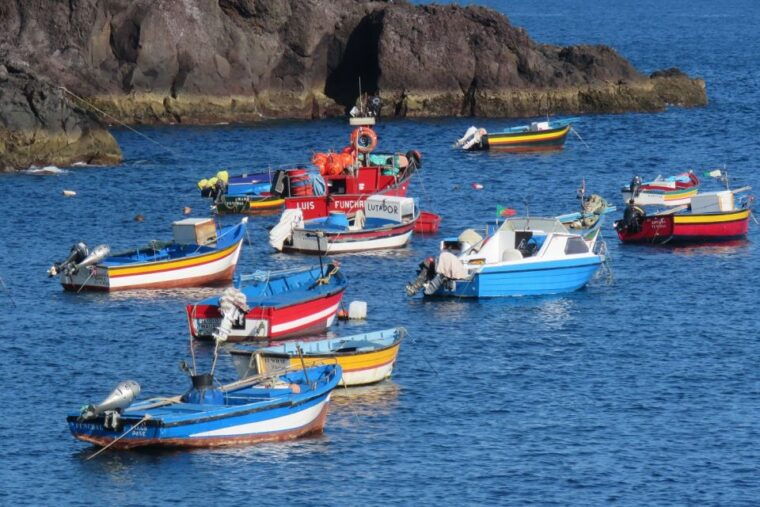 madeira-cabo-girao-and-camara-de-lobo-4wd-half-day-tour