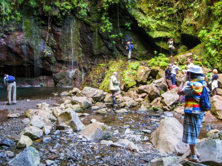 madeira-enjoy-a-guided-levada-walk-in-the-rabacal-valley