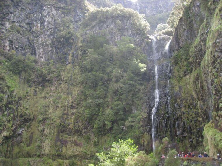 madeira-guided-full-day-rabacal-walk
