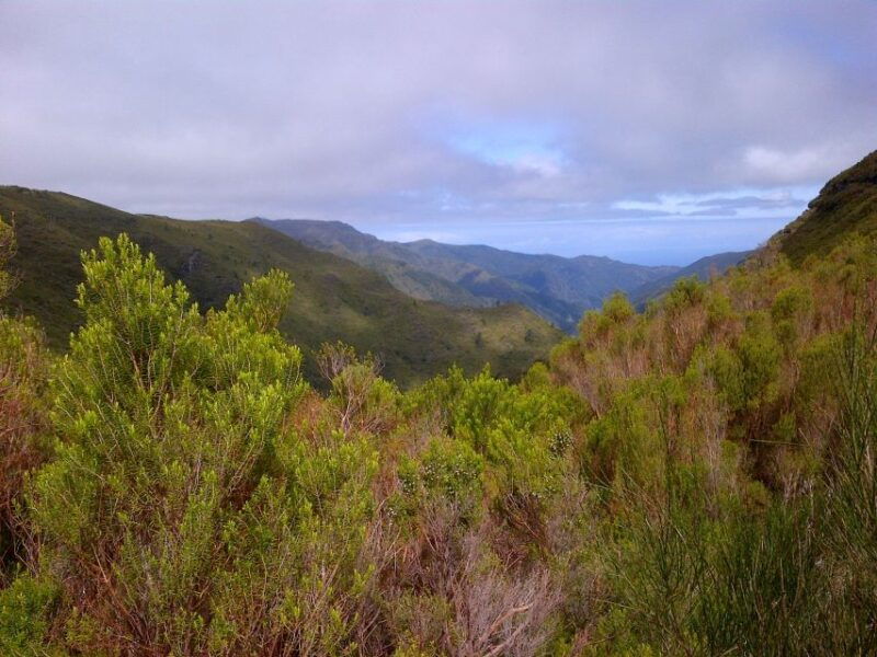 madeira-rabacal-valleys-3-hour-guided-walk