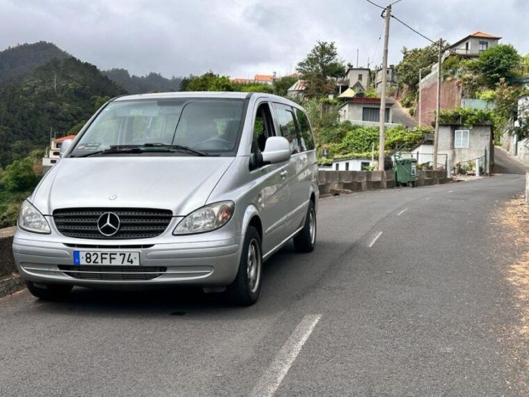 madeira-western-madeira-guided-trip-fanal-mystic-forest