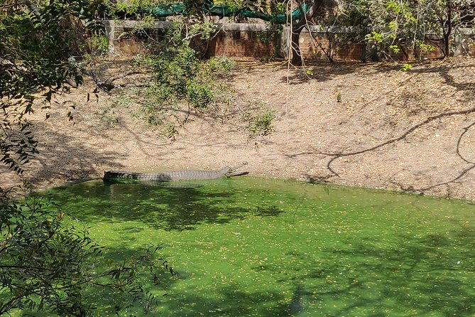 Mahabalipuram and Madras Crocodile bank trip from Chennai wtih Lunch,Transport - FAQ