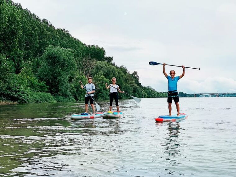 mainz-stand-up-paddling-tour-on-the-rhine-river
