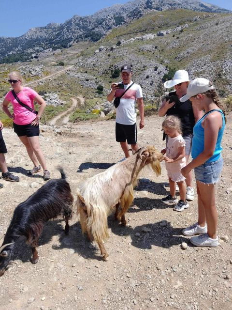 malia-land-rover-safari-lasithi-plateau-and-zeus-cave