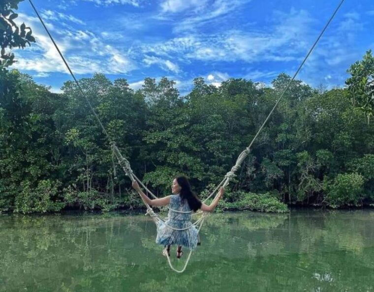 mangrove-day-tour-bintan