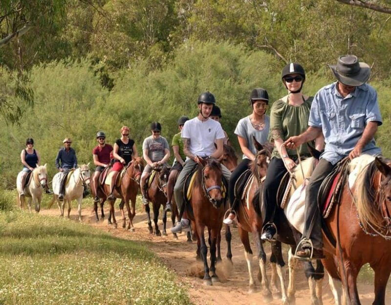 marmaris-horse-riding-experience-with-hotel-transfers