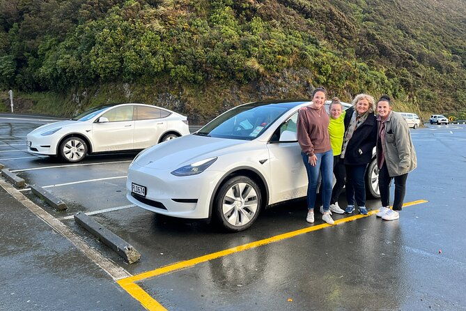 Martinborough Full Day Tandem Tesla Wine Tour - FAQ