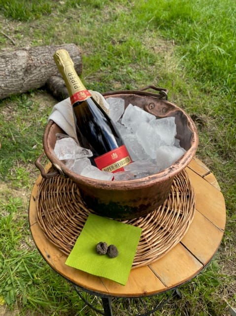 matera-aperitif-truffles-and-champagne-under-the-olive-tree