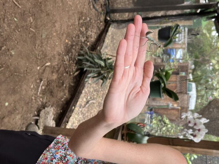 maui-interactive-butterfly-farm-entrance-ticket