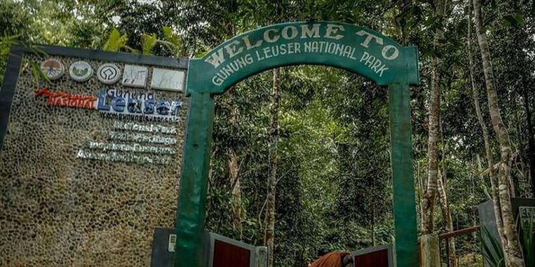 medan-in-the-jungle-of-mount-leuser-national-park-day-trip