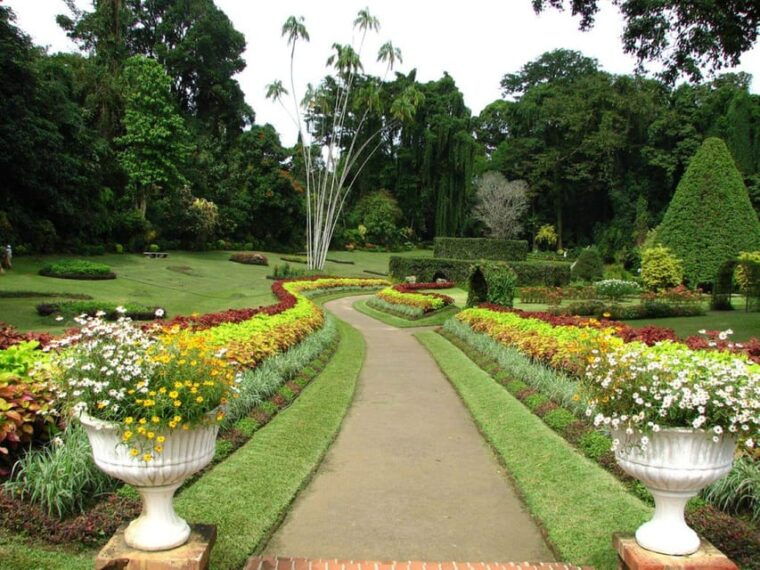 memorable-tuk-tuk-city-tour-of-kandy